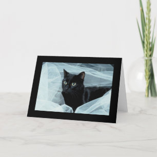Black Cat-Tillfällen-kort Kort