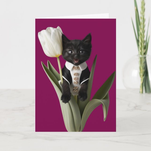 Black Cat Tulip Kort (Framsida)