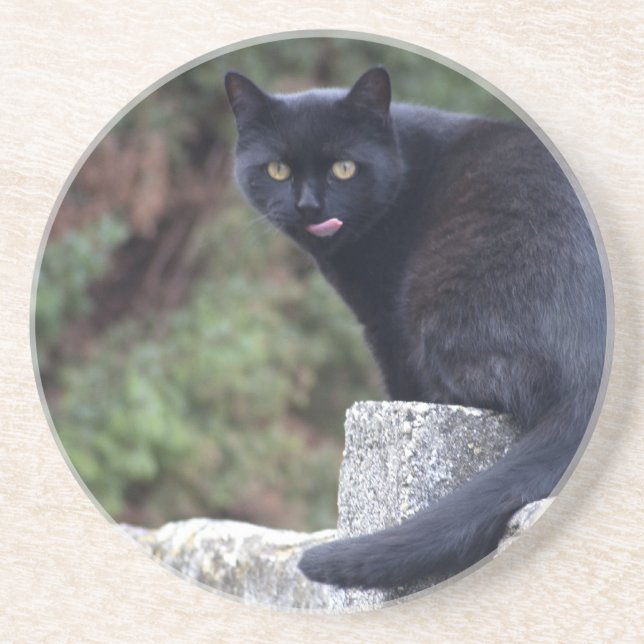 Black Cat Underlägg Sandsten (Framsidan)