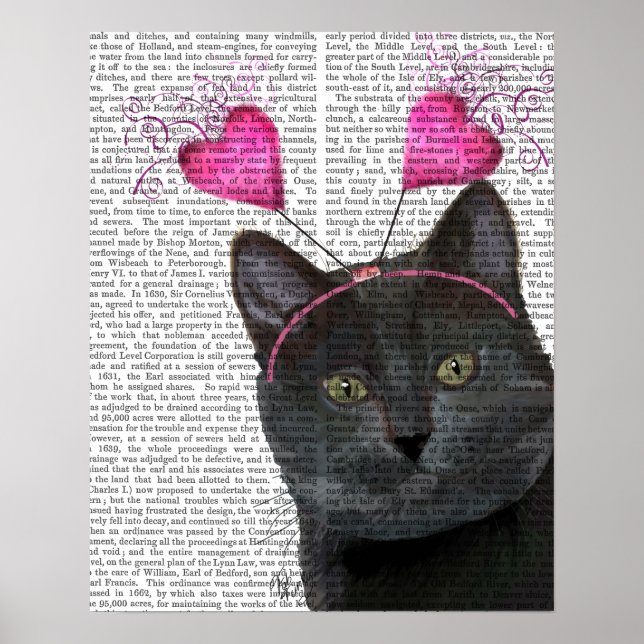 Black Cat-Valentineser Poster (Framsidan)