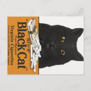 Black Cat Virginia Cigarettes Advert Postcard Vykort
