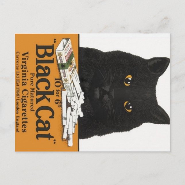 Black Cat Virginia Cigarettes Advert Postcard Vykort (Framsida)