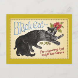 Black Cat Vykort