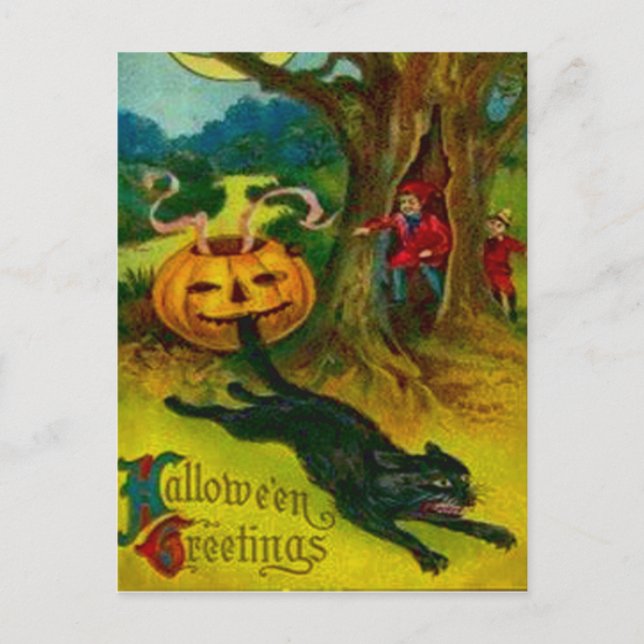 Black Cat Vykort (Framsida)