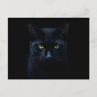 Black Cat Vykort