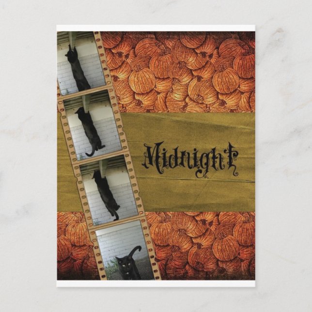 Black Cat Vykort (Framsida)