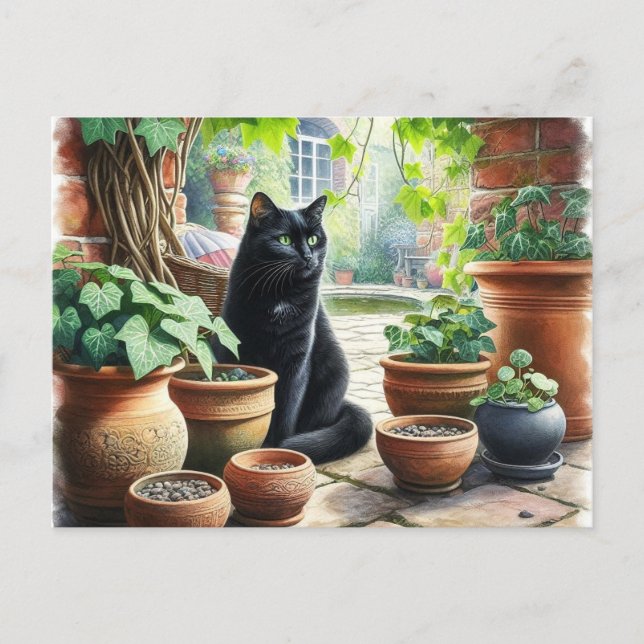 Black Cat Wating Catnip Grow Cute Vykort (Framsida)