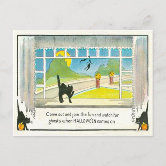 Black Cat Witch Window Jack o lantern Pumpkin Måne Vykort (Framsida)