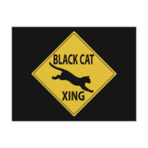 Black Cat Xing