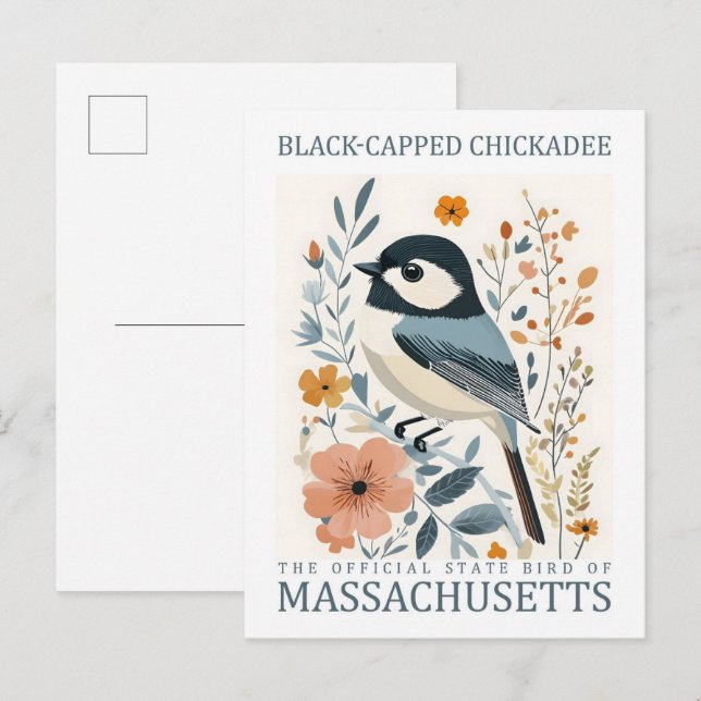 Black Ccap Chickadee Bird of Massachusetts USA Vykort (Fram/baksida)