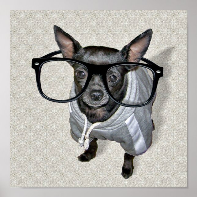 Black Chihuahua med Glass Photo Poster (Framsidan)