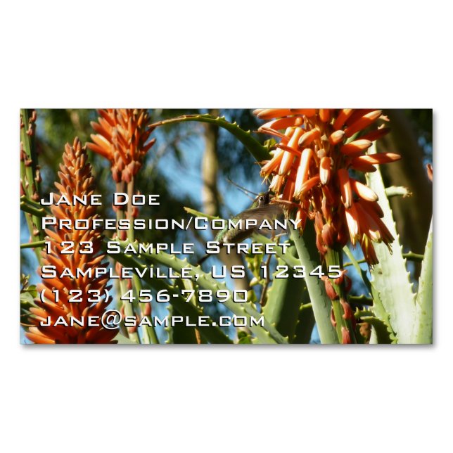 Black-Chinned Hummingbird in Flight Magnetiska Visitkort (Framsida)