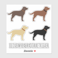 Black Chocolate Gult och Red Labrador Retrievers
