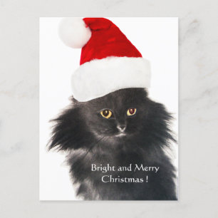BLACK CHRISTMAS CAT MED JULTOMTEN HAT HELG VYKORT