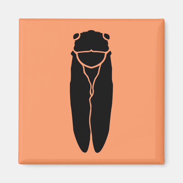 Black Cicada Insekt Magnet (Framsidan)