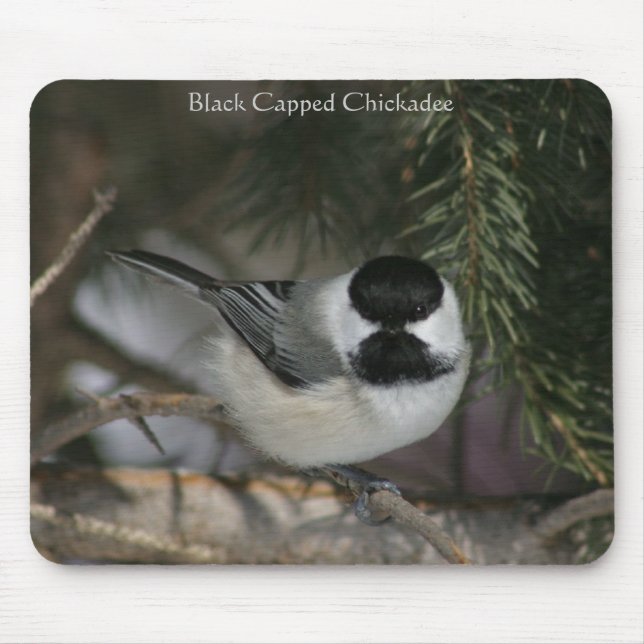 Black CKontrolladee Mousepad Musmatta (Framsidan)