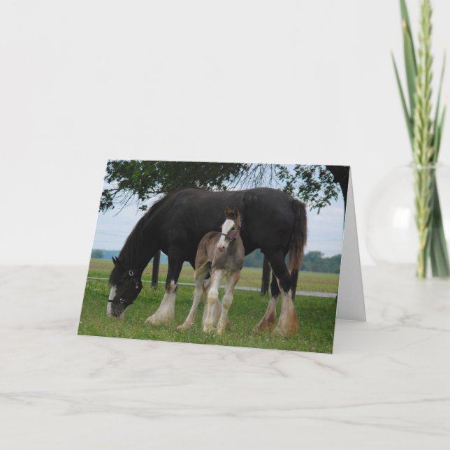 Black Clydesdale and Filly Kort (Framsida)
