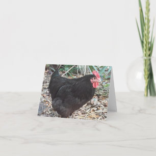 Black Cochin Chicken Photo Folant Note Card Anteckningskort