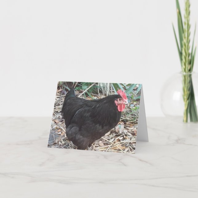 Black Cochin Chicken Photo Folant Note Card Anteckningskort (Framsida)