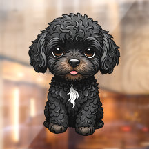 Black Cockapoo
