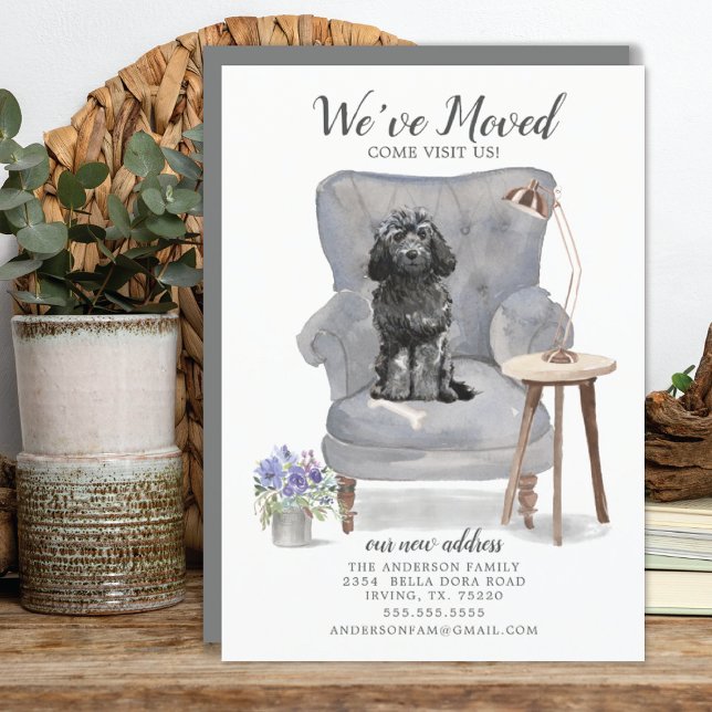 Black Cockapoo Flytta Announcement Meddelande (Skapare uppladdad)