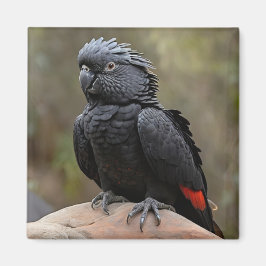 Black Cockatoo Magnet