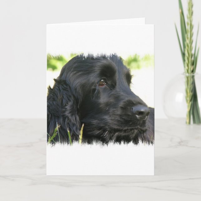 Black Cocker Spain Hund Greeting Card Kort (Framsida)