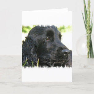 Black Cocker Spain Hund Greeting Card Kort