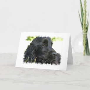 Black Cocker Spain Hund Greeting Card Kort