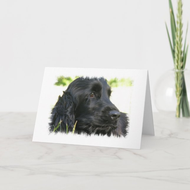 Black Cocker Spain Hund Greeting Card Kort (Framsida)