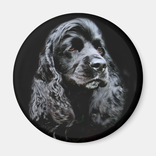 Black Cocker Spain Magnet (Framsidan)