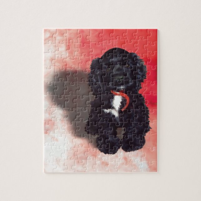 Black Cocker Spain Puppy - Abby Pussel (Vertikal)