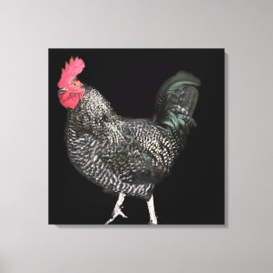 Black Cockerel nr 4 Canvastryck