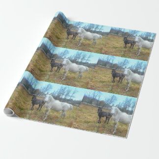 Black Colt White Horse Presentpapper