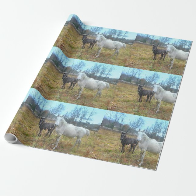 Black Colt White Horse Presentpapper (Utrullad)