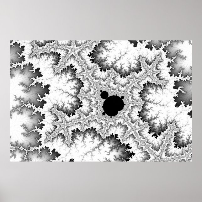 Black Coral Poster (Framsidan)