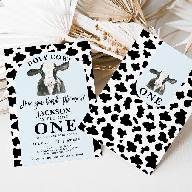 Black Cow Print Blue Arch Heliga Cow 1:a födelseda Inbjudningar (Modern black and white cow and cow print holy cow 1st birthday invitation also featuring a blue arch)