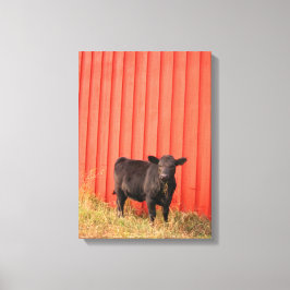 Black Cow Red Barn Canvastryck