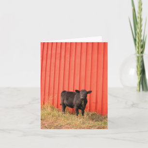 Black Cow Red Barn Note Card Kort