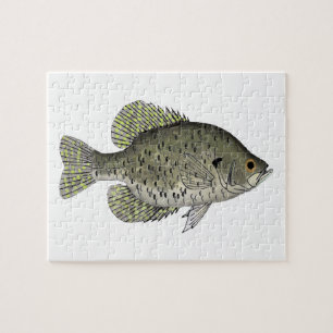 Black Crappie Pussel