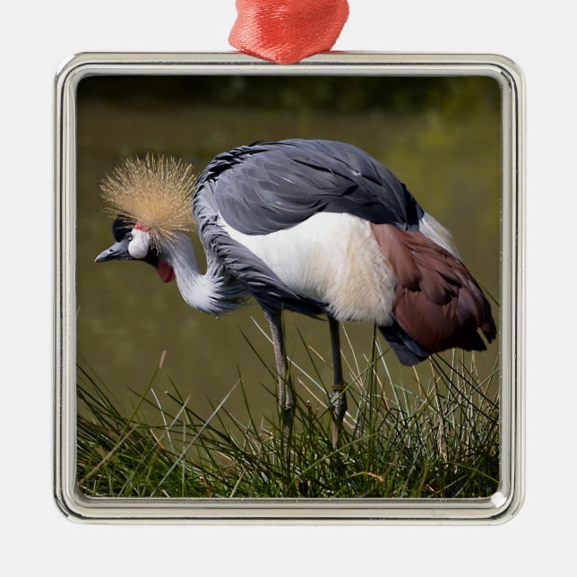 Black Crowned Crane Julgransprydnad Metall (Framsidan)
