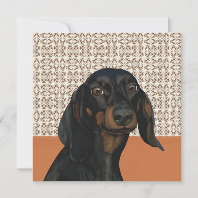 Black Dachshund Hund Porträtt Hundälskare (Framsida)