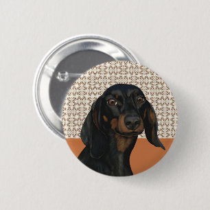 Black Dachshund Hund Porträtt Hundälskare Knapp