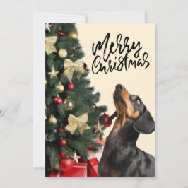 Black Dachshund Tittar upp Julgran Julafton Julkort