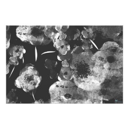 BLACK DAHLIAS FOTOTRYCK