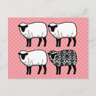 Black Damask Sheep Vykort