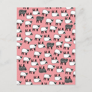 Black Damask Sheep Vykort