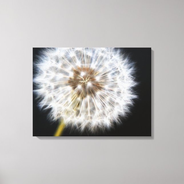 Black Dandelion Canvastryck (Framsida)