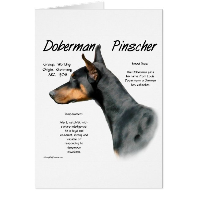 Black Doberman Pinscher History Hälsningskort (Framsidan)