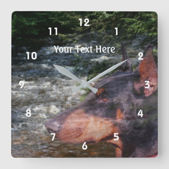 Black Doberman Pinscher Hund and Stream Fyrkantig Klocka (Framsida)